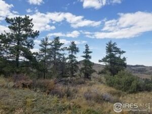 Property photo for land for sale in  County Colorado