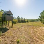 Property photo for land for sale in Cass County Texas