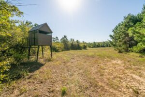 Property photo for land for sale in Cass County Texas