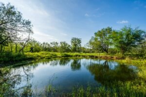 Property photo for land for sale in Duval County Texas