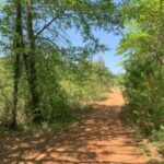 Property photo for land for sale in Union County Arkansas