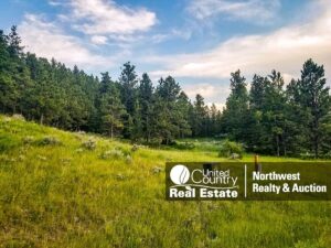 Property photo for land for sale in Phillips County Montana