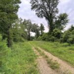 Property photo for land for sale in Bradley County Arkansas