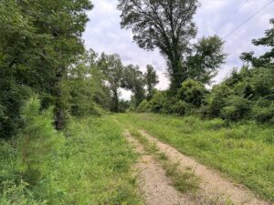 Property photo for land for sale in Bradley County Arkansas