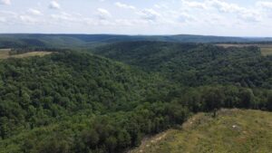 Property photo for land for sale in Sequatchie County Tennessee