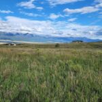 Property photo for land for sale in Custer County Colorado