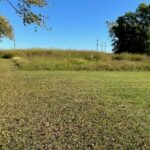 Property photo for land for sale in Scott County Arkansas