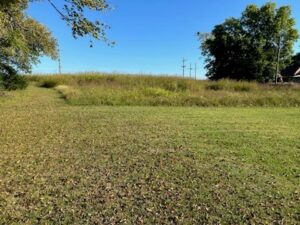 Property photo for land for sale in Scott County Arkansas