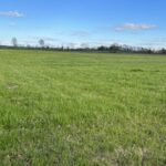 Property photo for land for sale in Stoddard County Missouri