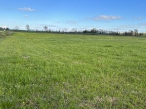 Property photo for land for sale in Stoddard County Missouri