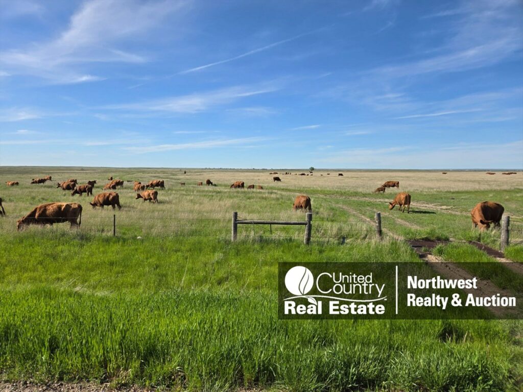 Property photo for land for sale in Phillips County Montana