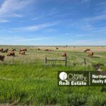 Property photo for land for sale in Phillips County Montana