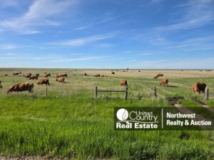 Property photo for land for sale in Phillips County Montana