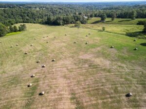 Property photo for land for sale in Ozark County Missouri