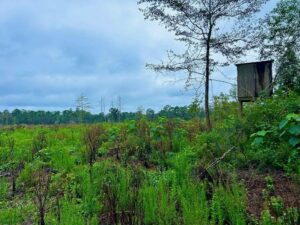 Property photo for land for sale in Jackson County Mississippi