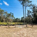 Property photo for land for sale in Gilchrist County Florida