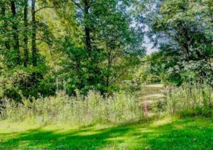 Property photo for land for sale in Pickett County Tennessee