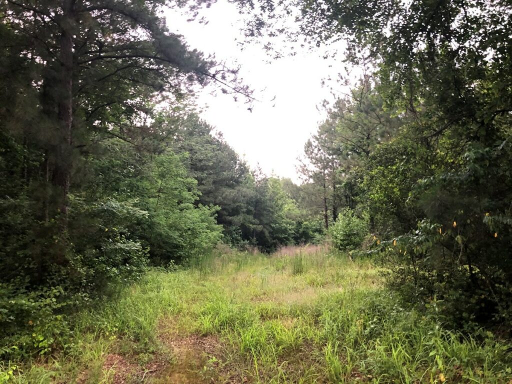 Property photo for land for sale in Claiborne County Louisiana