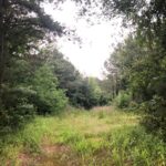 Property photo for land for sale in Claiborne County Louisiana