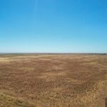 Property photo for land for sale in Bailey County Texas