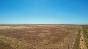 Property photo for land for sale in Bailey County Texas