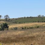 Property photo for land for sale in Daviess County Missouri