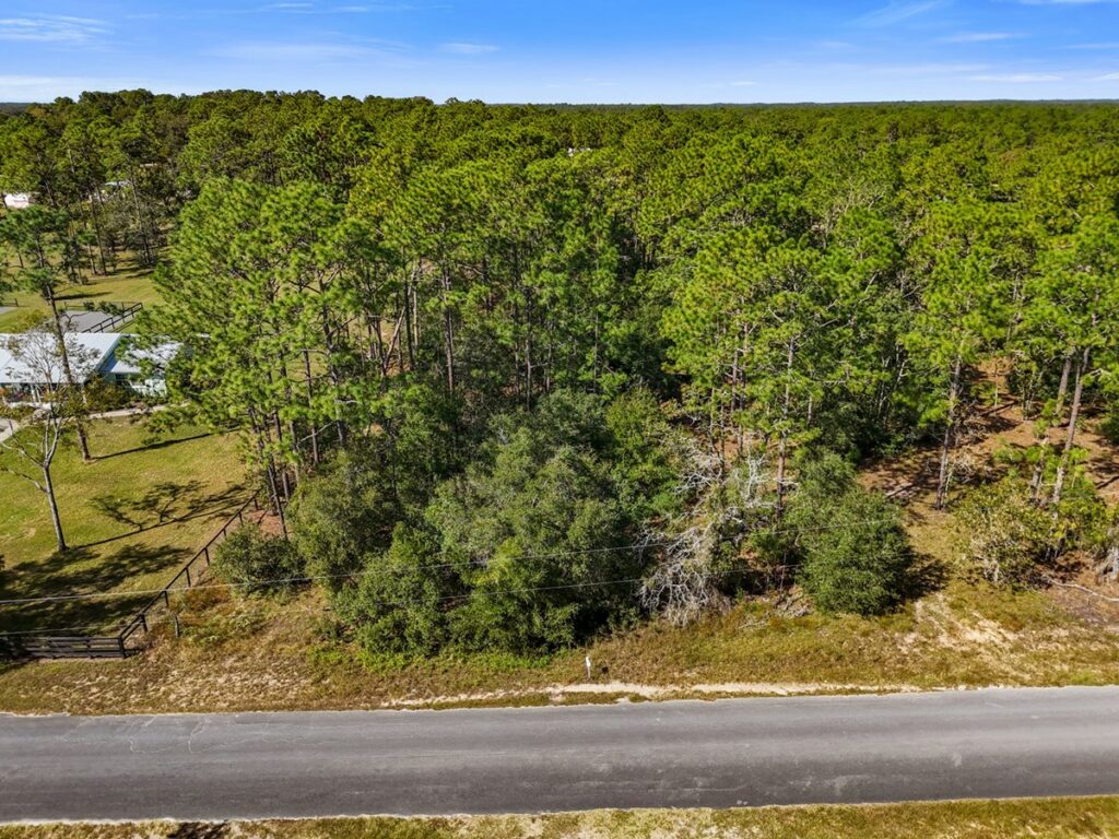 Property photo for land for sale in Levy County Florida