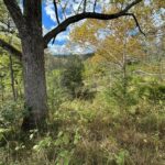 Property photo for land for sale in Hawkins County Tennessee