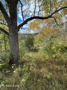 Property photo for land for sale in Hawkins County Tennessee