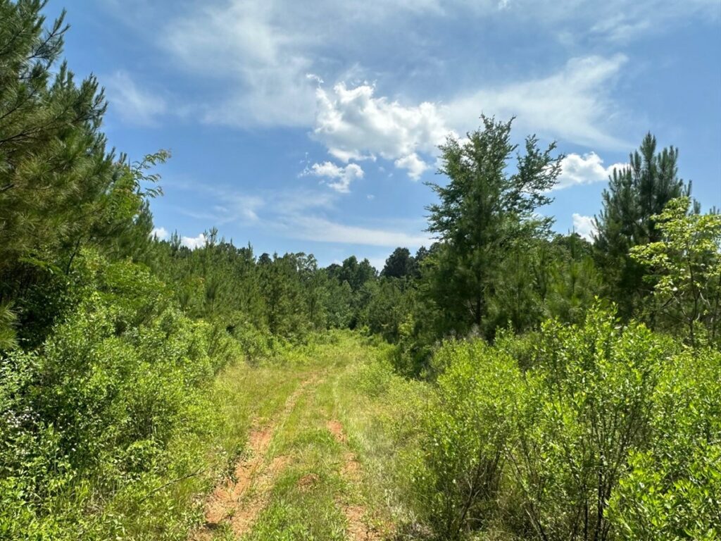 Property photo for land for sale in Lafayette County Arkansas