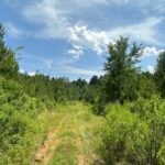 Property photo for land for sale in Lafayette County Arkansas