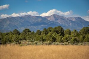 Property photo for land for sale in La Plata County Colorado