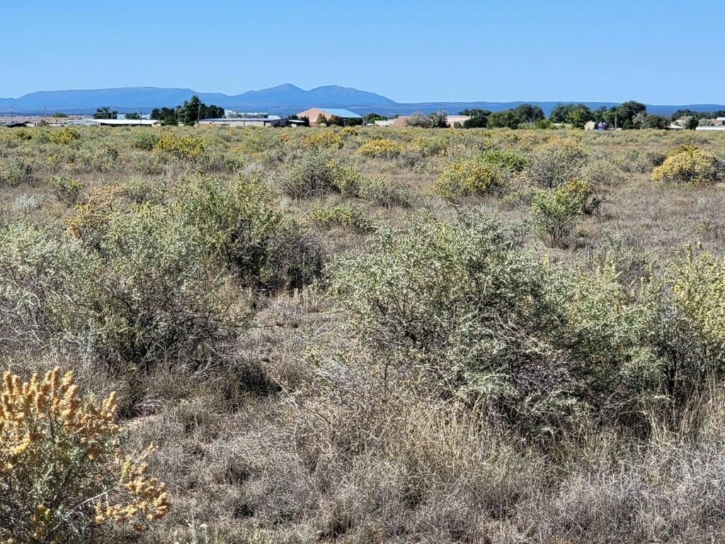 Property photo for land for sale in Torrance County New Mexico