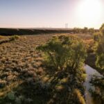 Property photo for land for sale in Blaine County Montana