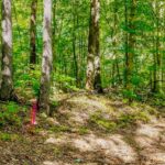 Property photo for land for sale in Pickett County Tennessee