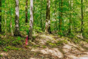 Property photo for land for sale in Pickett County Tennessee