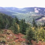 Property photo for land for sale in Kootenai County Idaho