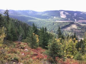 Property photo for land for sale in Kootenai County Idaho