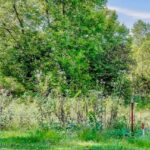 Property photo for land for sale in Pickett County Tennessee