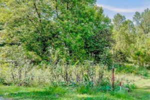 Property photo for land for sale in Pickett County Tennessee