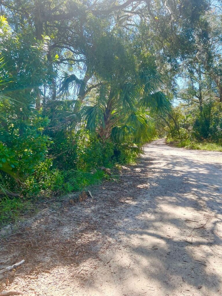 Property photo for land for sale in Levy County Florida