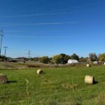 Property photo for land for sale in Greene County Tennessee