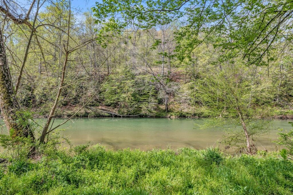 Property photo for land for sale in Lewis County Tennessee