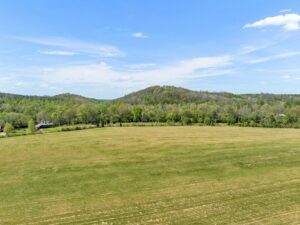 Property photo for land for sale in Lewis County Tennessee