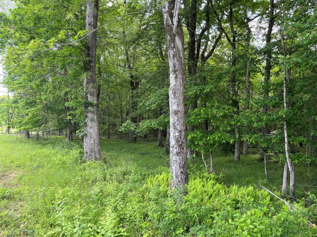 Property photo for land for sale in Sequatchie County Tennessee