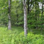 Property photo for land for sale in Sequatchie County Tennessee