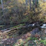 Property photo for land for sale in Hawkins County Tennessee