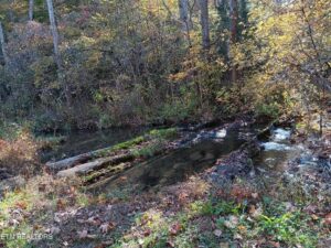 Property photo for land for sale in Hawkins County Tennessee