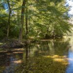 Property photo for land for sale in Wayne County Tennessee