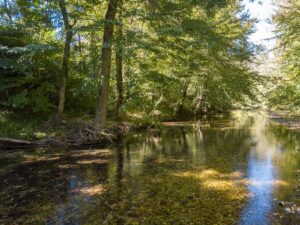 Property photo for land for sale in Wayne County Tennessee